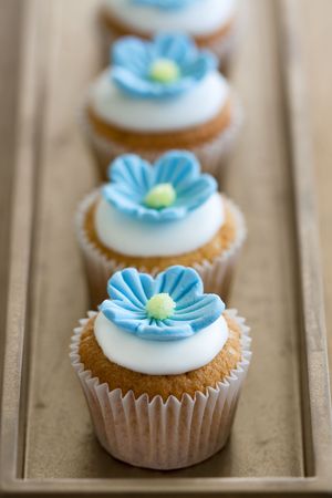 Mini flower cupcakesの写真素材