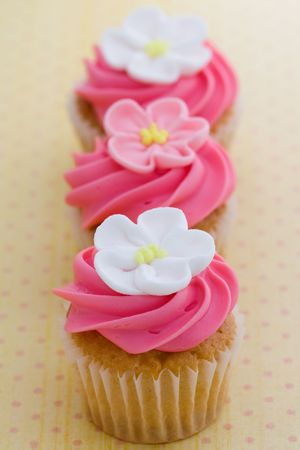 Mini cupcakes の写真素材