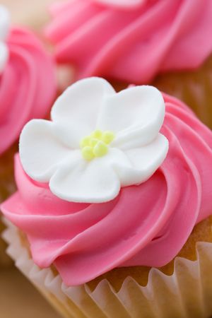 Cupcake の写真素材