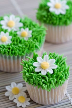 Daisy cupcakesの写真素材