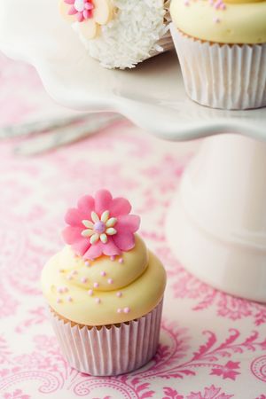 Cupcakesの写真素材
