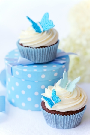 Butterfly cupcakesの写真素材