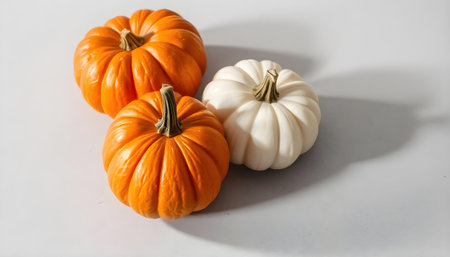 Three pumpkins two orange and one white on a gray textured backgroundの素材
