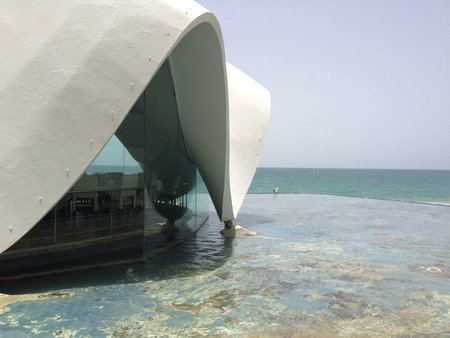 The Perla Restaurant at La Concha Resort in San Juan Puerto Ricoの素材