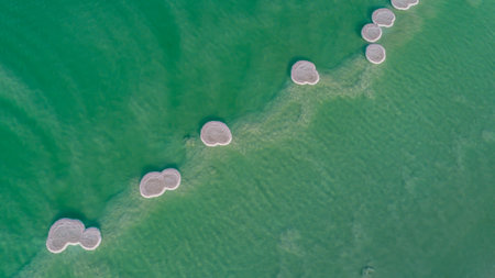 The concept of medical and ecological tourism. Therapeutic Dead Sea, Israel. Picturesque stripes of salt on the shallow seashore. Dead Sea coastline in desert. Texture of salt deposits in water. droneの写真素材
