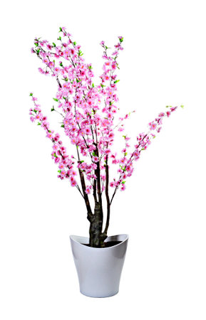 decorative artificial plant with white background. Concept for interior design. selective focus. isolatedの写真素材