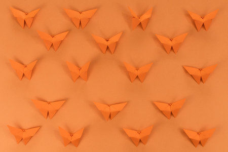 Orange origami butterfly, on orange background. Spring background. top view.の写真素材