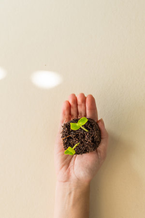 Female hand holding tree. Earth Day in the hands of trees growing seedlings. Forest preservation concept.の写真素材