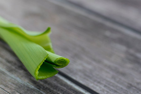 Close up, portion of fresh Leek, on wooden table, with space for text. Select focus. Soft focus.
