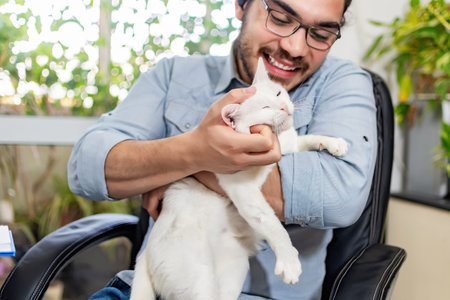 Web designer rests at workplace with white cat.の写真素材