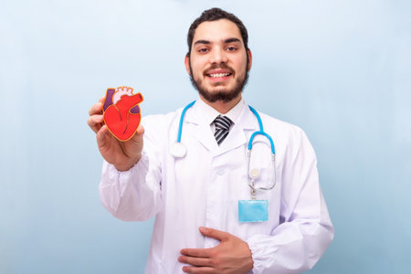 Professional male doctor with heart human figure. World heart day. National Organ Donors Day.の写真素材