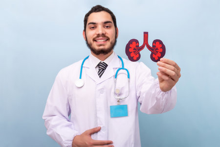 Professional male doctor with kidneys human figure. World kidney day, National Organ Donor Day.の写真素材
