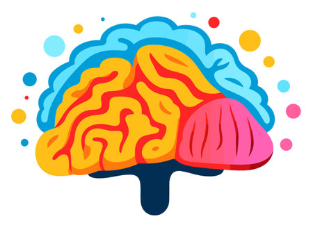 Brain illustration on white transparent background.の素材