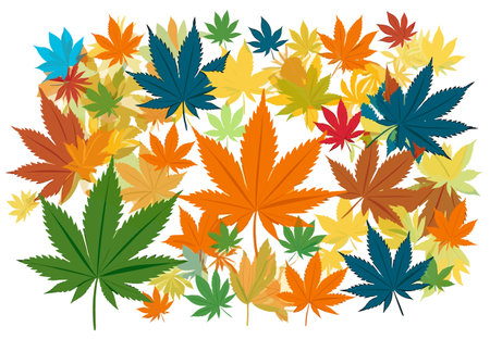 Cannabis leaf illustration on white transparent background.のイラスト素材