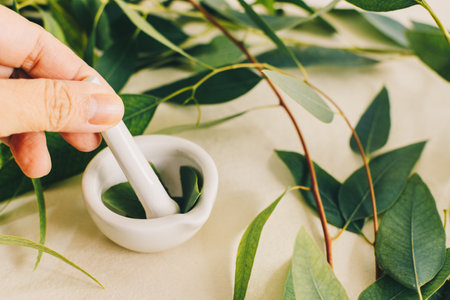 Small white ceramic mortar, with eucalyptus leaves. Ingredients for alternative medicine and natural cosmetics. Beauty and spa concept.の写真素材
