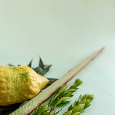 Species from the Jewish holiday of Sukkoth. Still life.