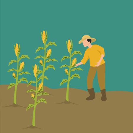 Simple Vector illustration background about young male farmer picking the corn on the tree. Happy Professional farmer. Farming challenge the minimalist concept. Modern design vector illustrationのイラスト素材