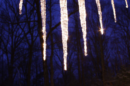 early morning icicles 