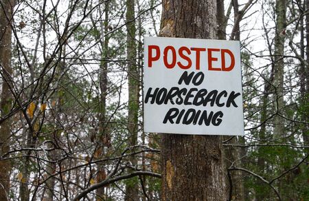 A no horseback riding sign high up on a tree in the woods on a winter day outsideの写真素材