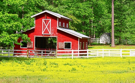 An unusual two story old red horse barn outside among the woods in a buttercup fieldのeditorial素材