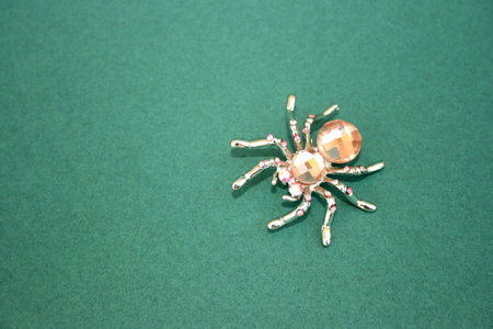 Nice spider brooch isolated on the white.の写真素材