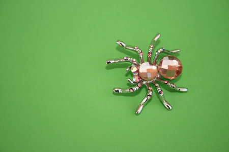 Nice spider brooch isolated on the white.の写真素材