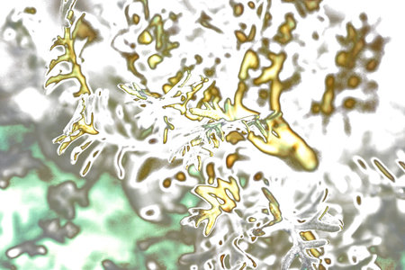 Fantastic leaves abstract as a nice background.