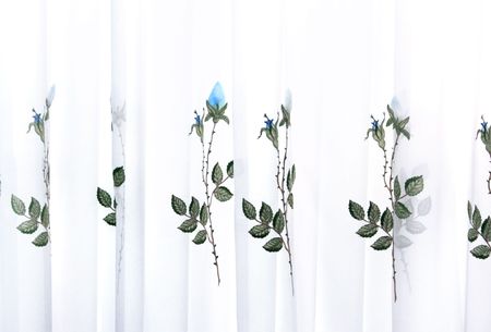 Picture of luxurious curtains with blue roses.の写真素材