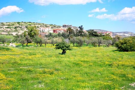 Cyprus landscape, cloudy sky,field with yellow daisies,trees,houses.の写真素材