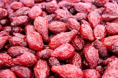 Dried dogwoods close up picture.の写真素材