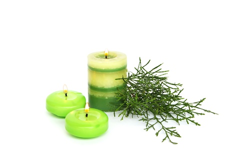 Green candles, pine leaves isolated on white background. の写真素材