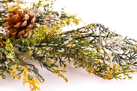 Christmas tree branch with cones on white background.の写真素材