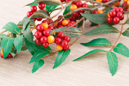 Fabric plants with berries on cloth background.