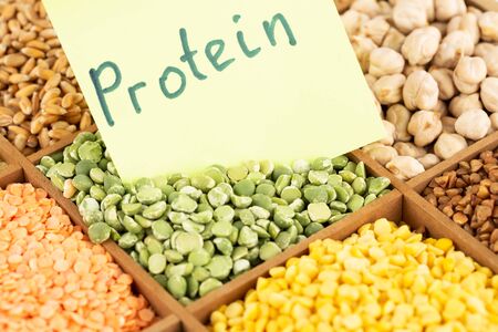 The collection of different groats, lentils, wheat, buckwheat, chickpea and peas in the wooden box with notice protein.の写真素材