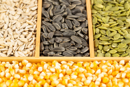 The various kind of seeds in the wooden box.の写真素材