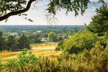 Landscape with trees and field in sunny summer day in Richmond Park, London, UK.の写真素材