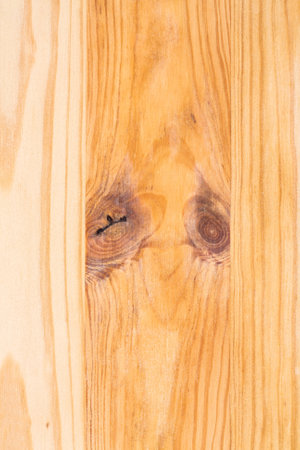 Wooden texture as a background, vertical image.の写真素材