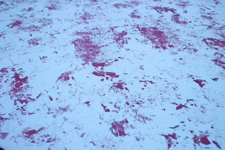 Colorful painting texture as a background. Red and gray abstract horizontal image. Acrylic painting.の写真素材
