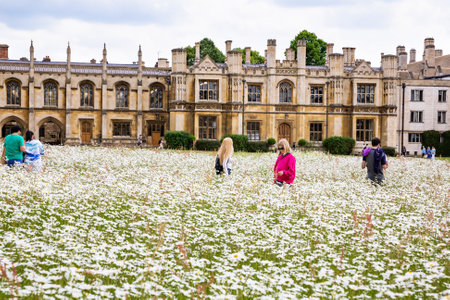 Cambridge, UK - June 2, 2022 - Unindefinite people in wild daisies meadow  in front of the iconic King's College Chapel at Cambridge University.のeditorial素材
