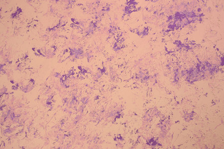 Colorful painting texture as a background. Purple and beige  abstract horizontal image. Acrylic...