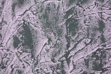 Concrete texture as a background. Green and white stucco wall,  horizontal picture.