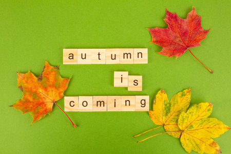 The phrase autumn is coming and colorful leaves on green background.の写真素材