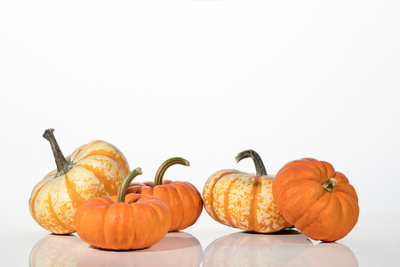 Halloween pumpkins on a white backgroundの写真素材