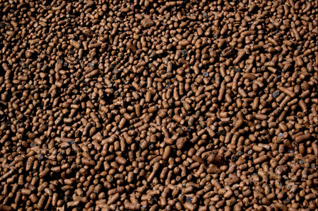 Backgroundの写真素材