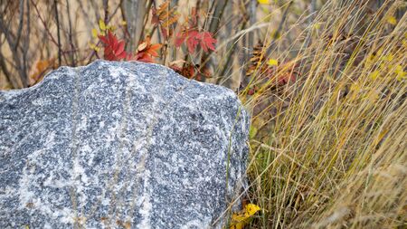 Granite stone in the autumn grass. Beautiful granite stone lies in the autumn grass.の写真素材