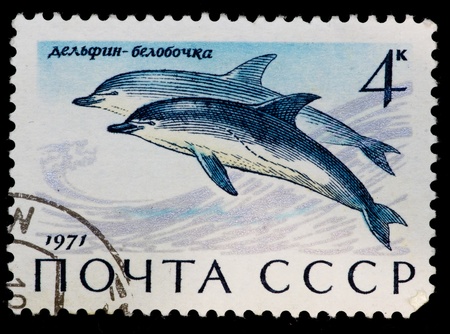 USSR - CIRCA 1971: The postal stamp printed in the USSR which shows common dolphin, CIRCA 1971.の写真素材