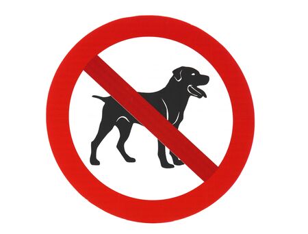 No dogs allowed on a white backgroundの写真素材