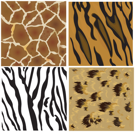Animal   patterns of tiger, leopard, giraffe and zebra.のイラスト素材