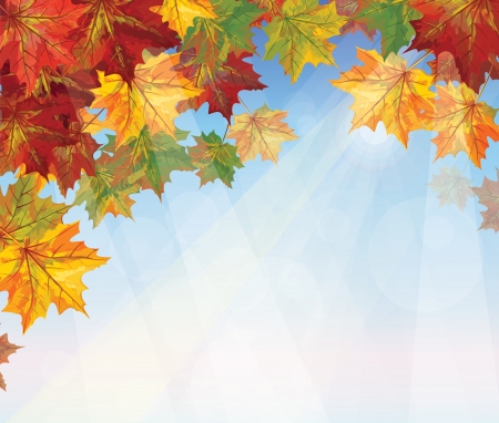 autumnal leaves on blue sky background  のイラスト素材