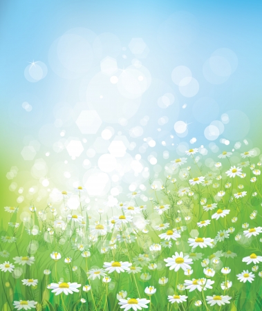 Spring backgroundのイラスト素材